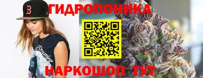 мдпв Тула