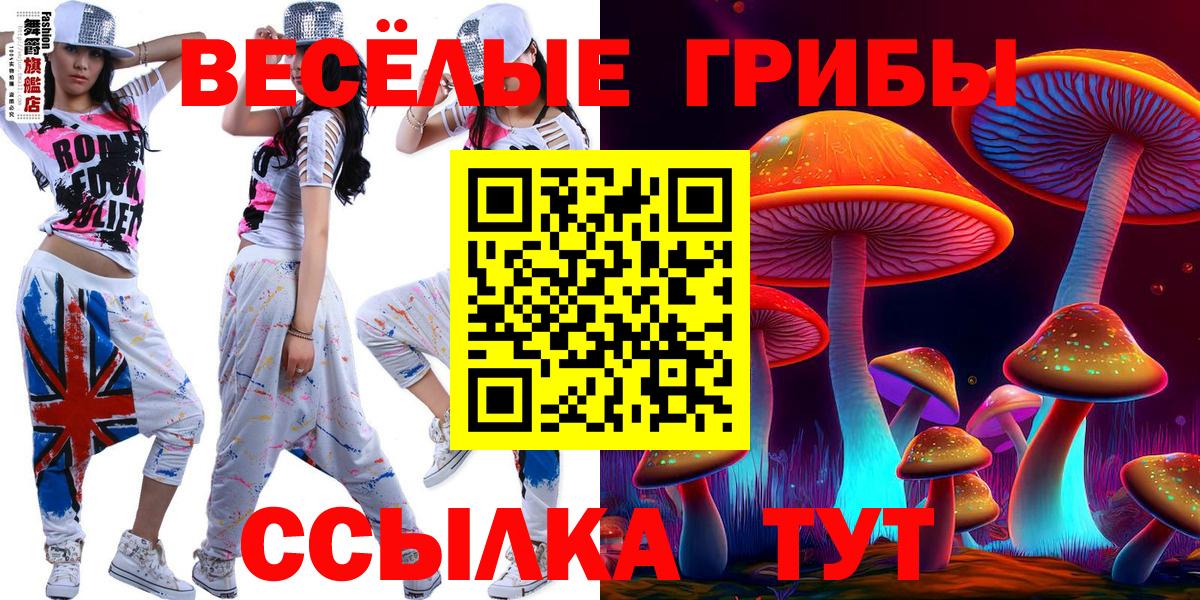 как найти наркотики  Галлюциногенные грибы Magic Shrooms  Вход с VPN  Можайск  Псилоцибиновые грибы Cubensis 